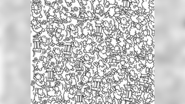 Image: Jagran josh Optical illusion (29)
