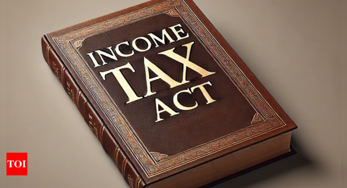 Govt seeks public comments for income tax law revamp