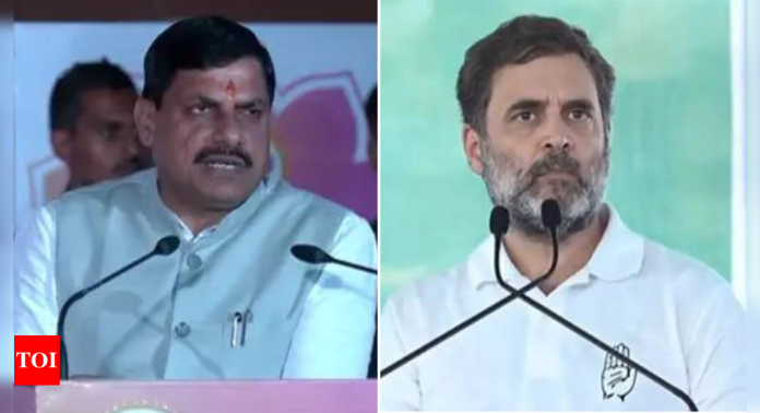 Haryana poll outcome a verdict on Rahul Gandhi's failed leadership: MP CM