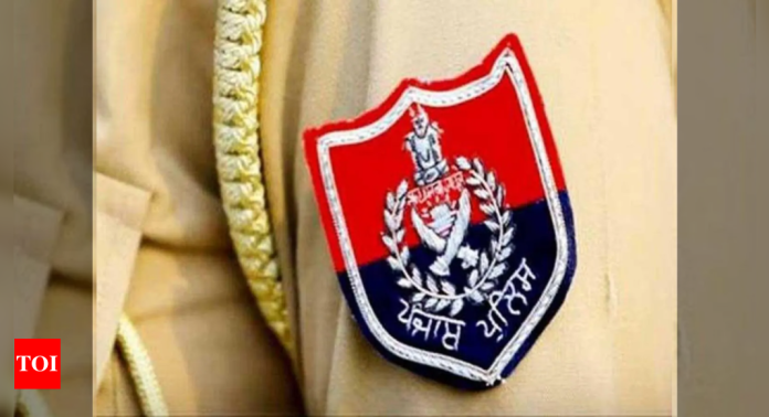 Gurpreet Singh murder: Punjab Police crack case, arrest 3 | India News