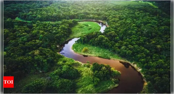 India needs Rs 81.6k crore per year up to 2029-30 to meet biodiversity goals | India News