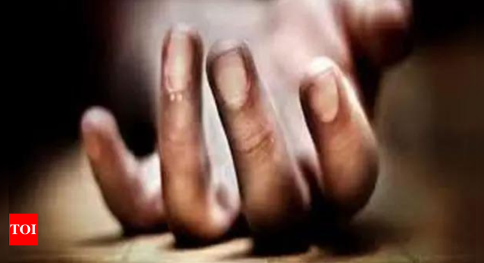 3 bodies found in Manipur's Barak river | India News
