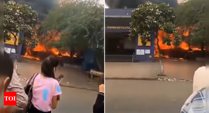Video: Massive fire at popular food van near Delhi Metro station | India News