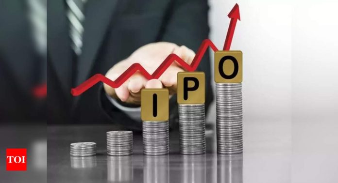 India's IPO fundraising set for landmark year 2024: S&P Global Market Intelligence