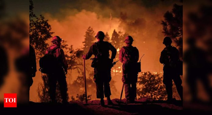 'Exceptional' wildfires across Americas in 2024: EU monitor