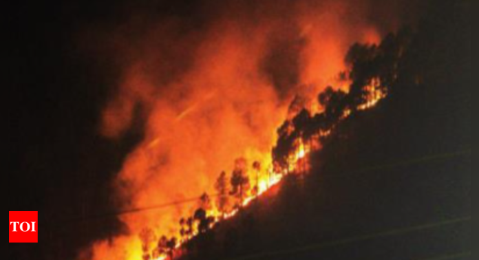 A year of forest fires, cloudbursts, heatwaves in Himanchal Pradesh