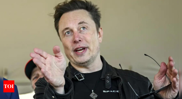 Elon Musk H-1B Reforms: Elon Musk's 2-point solution to fix broken H-1B system: X users ask what's Tesla doing