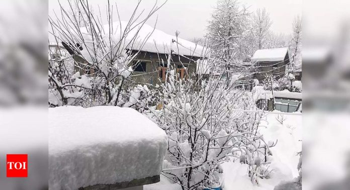 Snow squall warning issued for Sault Ste Marie and St Joseph Island