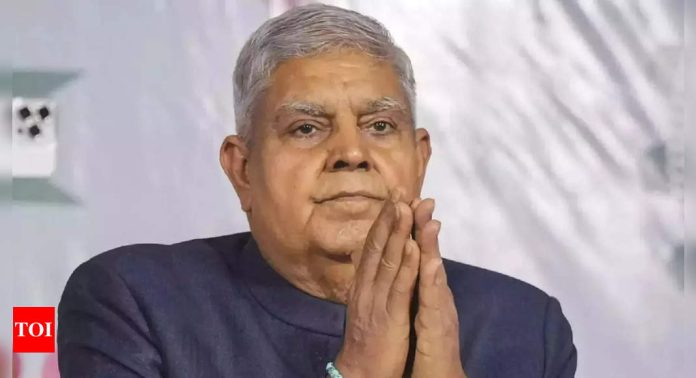 'Misguided souls driven by a dangerous ecosystem': Dhankhar on Sanatan criticism | India News