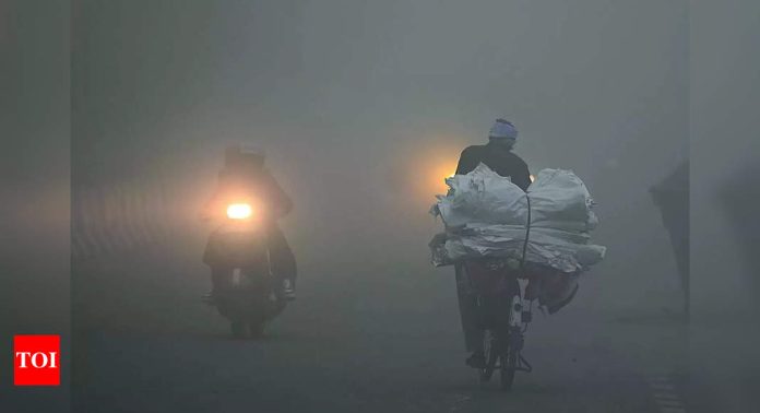 0 visibility for 9 hours: Worst fog of season blinds city | India News
