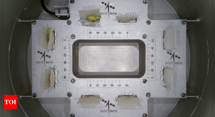 Life sprouts in space: Isro successfully germinates cowpea seeds in just four days under microgravity conditions