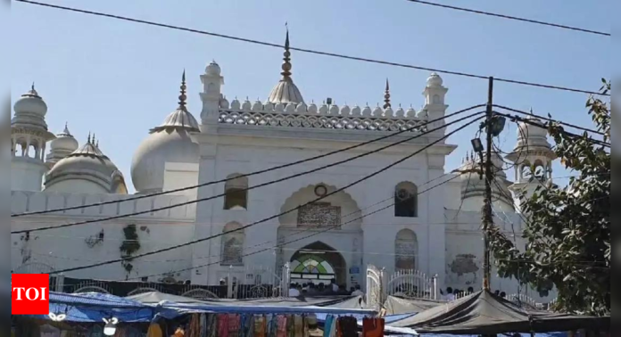 Aligarh's Jama Masjid built on site of ancient temples, claims RTI activist; files petition | India News