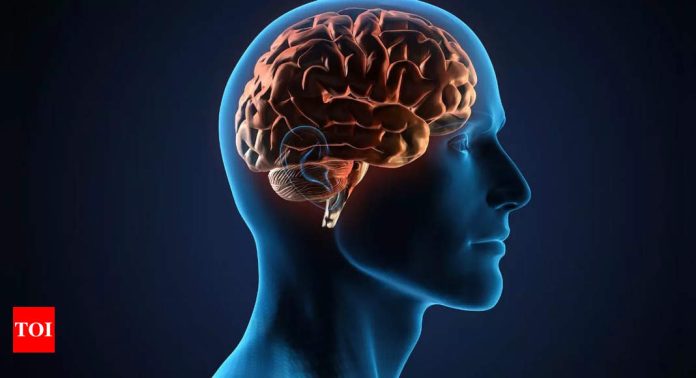 Can we retrieve memories from a dead person’s brain? Discover the science and challenges of memory recovery |