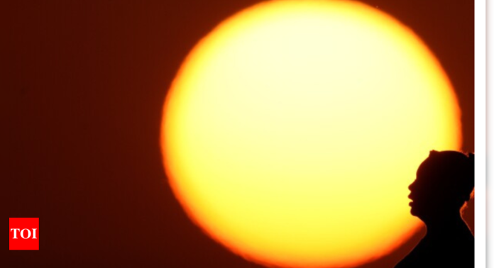 Climate Change: January 2025 heat record surpasses expectations despite US cold and La Niña influence