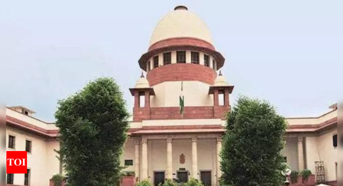 SC raps cops for 'faulty probe', acquits man on death row | India News