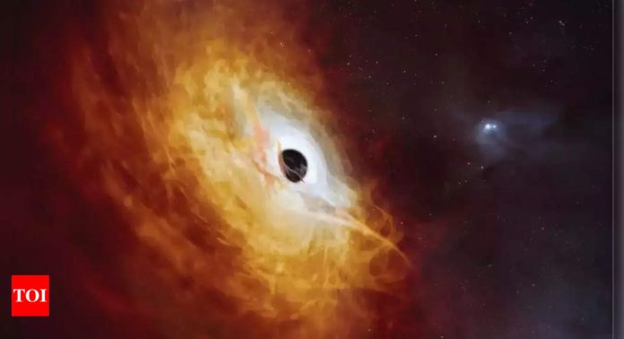 What’s really inside a black hole? Quantum computing sheds new light |