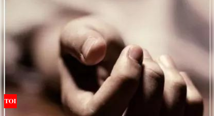Jharkhand civil services topper, IRS brother & mom found dead | India News