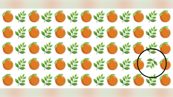 Image: Jagran Josh optical illusion (54)