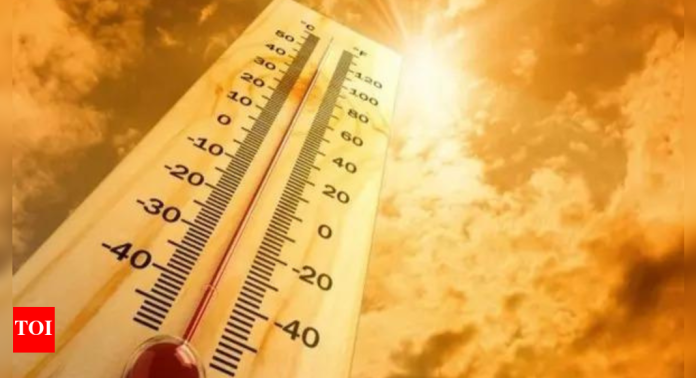 Mercury crosses 40 degrees mark in most places in Punjab, Haryana | India News