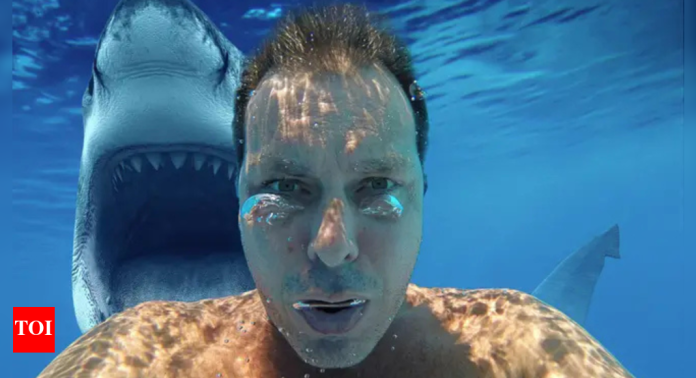 How selfie seekers are contributing to the rise in shark attacks |