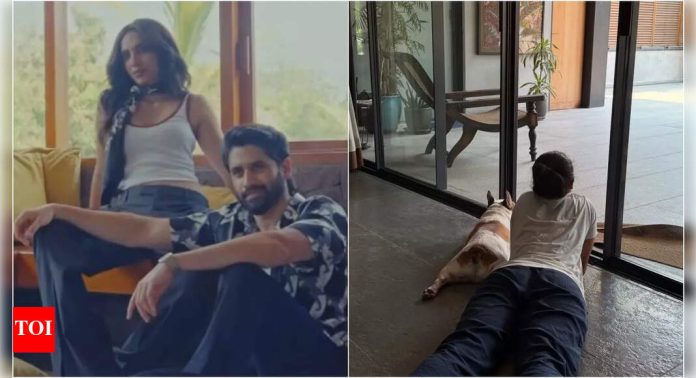 Naga Chaitanya enjoys his laid-back Sunday with wife Sobhita Dhulipala and dog Hash; fans ask, 'Is that Samantha Ruth Prabhu’s dog?'