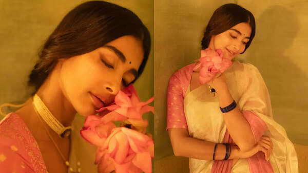 dsd (5)
