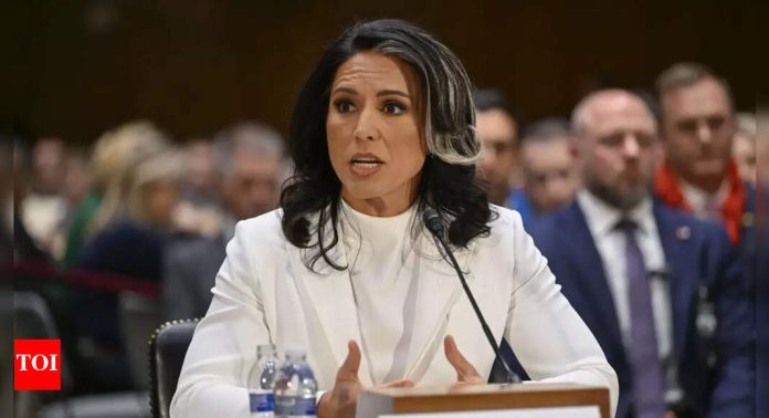 DNI Tulsi Gabbard confirms probe into Fauci's role in funding Wuhan gain-of-function research tied to COVID-19