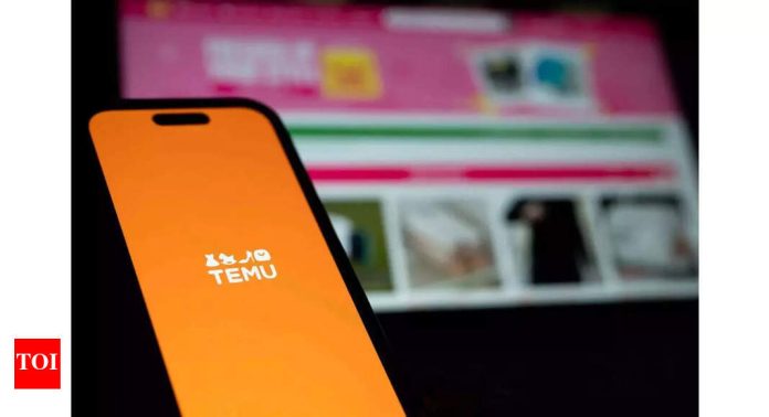 Temu halts shipping goods from China directly to US customers