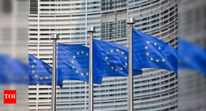 EU publishes US product hit list, prepares for WTO action against Trump's tariffs | World News