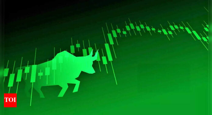 Stock market today: Nifty50 climbs above 24,600; BSE Sensex rallies over 1,900 points to cross 81,300