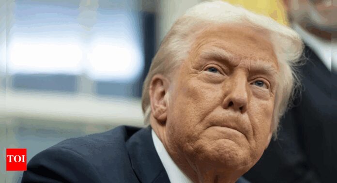 Who is Donald Trump's 'brilliant but seriously overweight' friend from his viral story? Why everyone thinks it's Elon Musk