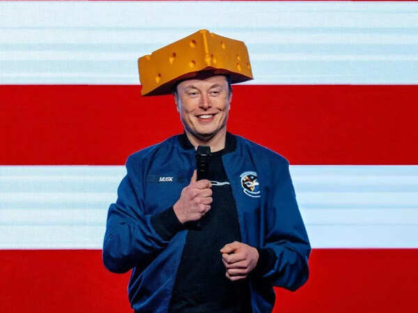 Elon Musk was spotted wearing a cheesehead hat during his speech at Wisconsin Town Hall. The Tesla CEO also took a dig at George Soros, the chairman of Soros Fund Management. Elon Musk wears cheesehead hat at Wisconsin Town Hall | Credit: X