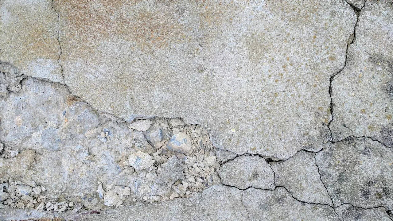 Monsoon care tips to protect your home from dampness