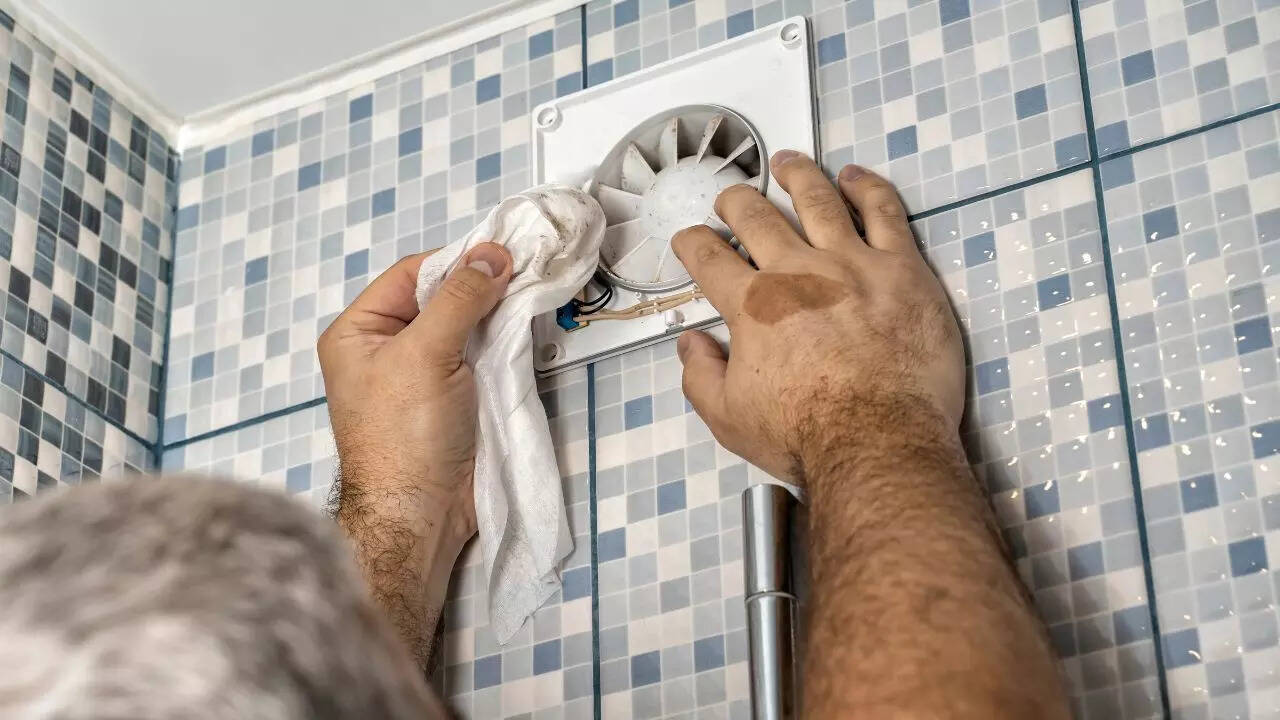 Monsoon care tips to protect your home from dampness