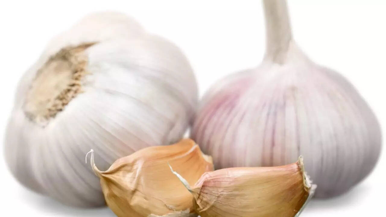 Garlic