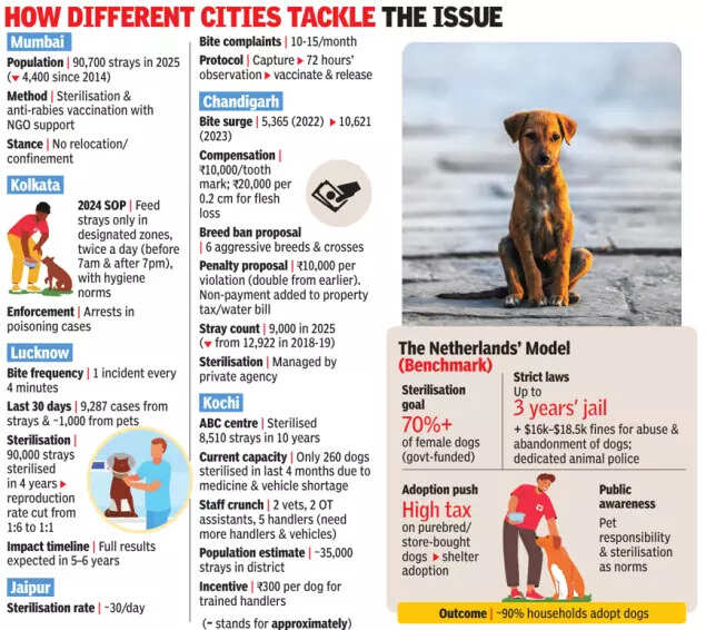 How cities tackle the issue
