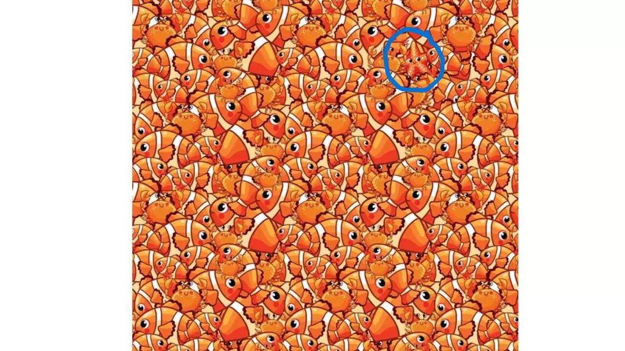 Optical Illusion Answer