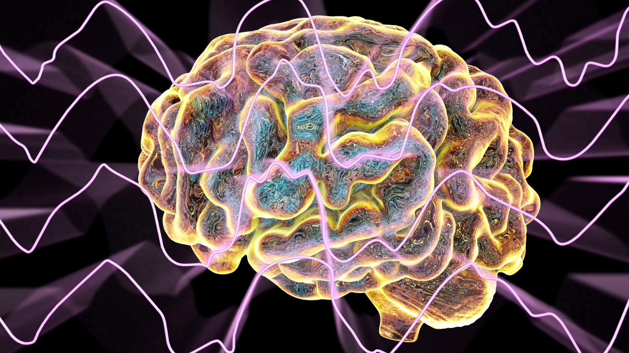 Image credits: Canva