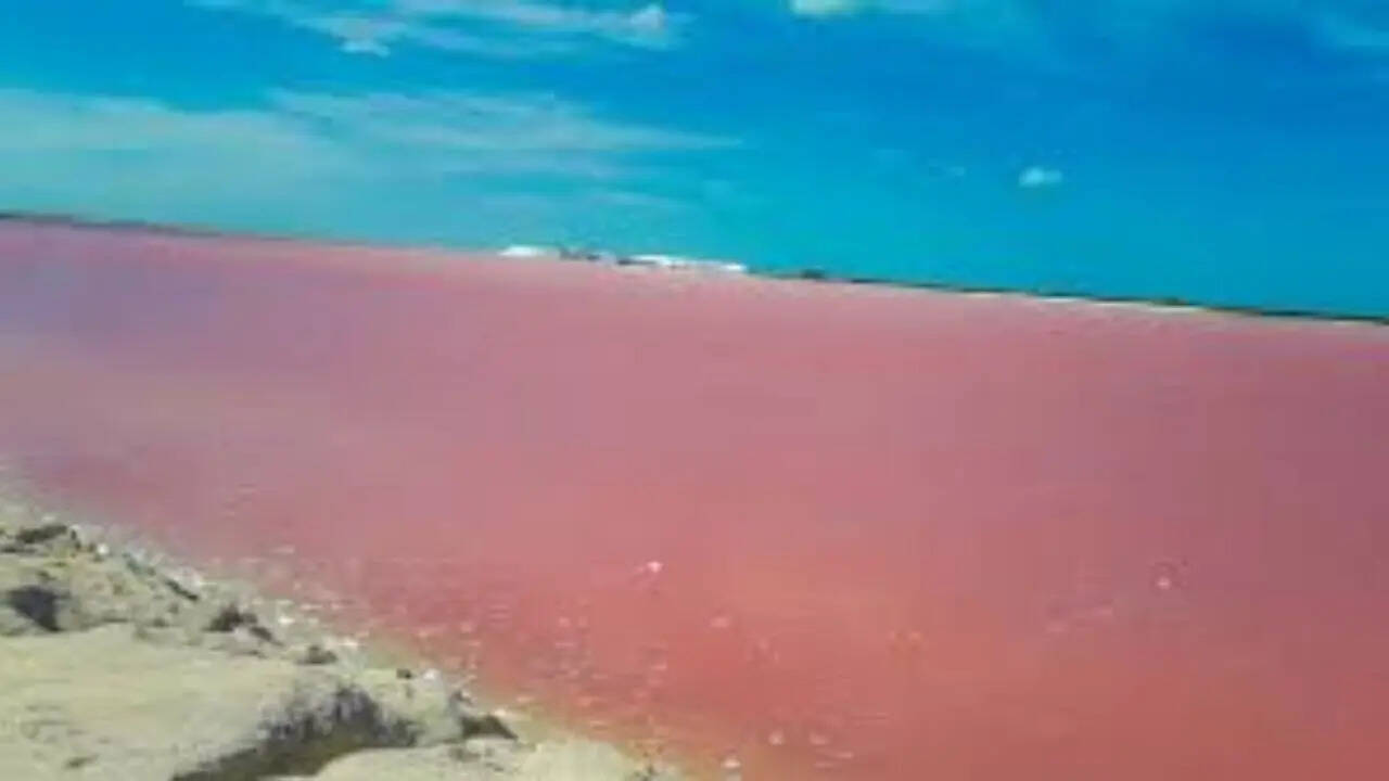 3. Las Coloradas, Mexico