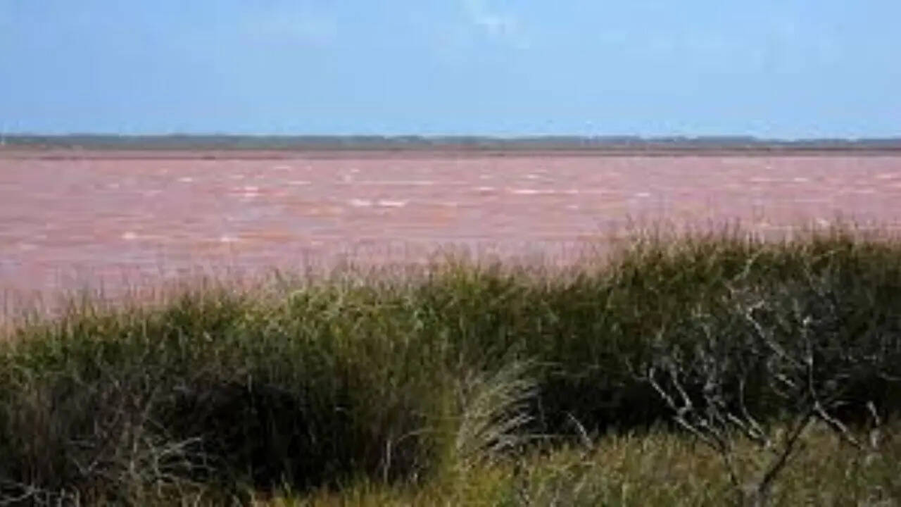 Hutt Lagoon, Australia