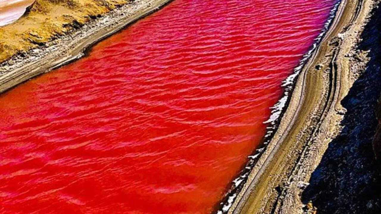 6. Dusty Rose Lake, Canada