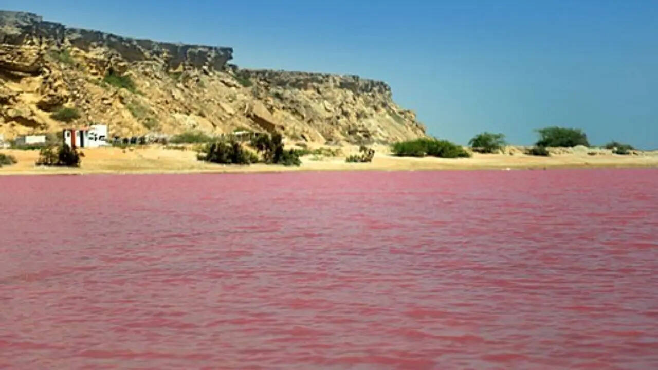 10. Pink Lake, Australia
